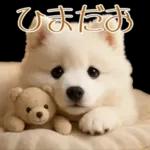 白いモフモフ～その名はサモエド！２