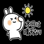 暑い夏のだるだるうさぎ