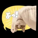 まるちゃんスタンプ＃1