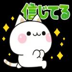 気づかいのできるネコ♪