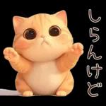 ぽっちゃりちび橘猫2
