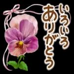 ほんわかさん【お花の仲良し言葉】No.3５