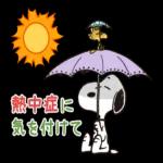 連絡ないと
心配にM
なっちゃう
EC
い