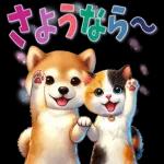 柴にゃんスタンプ