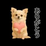 ずっと使える♡夏のチワワ