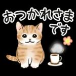 毎日☆猫たちのスタンプ