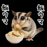 フクロモモンガ❤実りの秋は大豊作