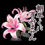毎日使える お花 敬語✿大人上品お花