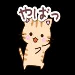かわいい〜うれしい〜
