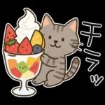 猫ちゃんとスイーツと夏