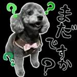 大人かわいい日常メッセージ?