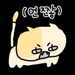 말수가 적은 고양이