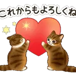 これからもよろしくね