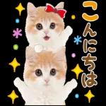 今すぐ送りたい気持ちことば集＊