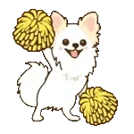 Parabéns 🎇👏👏