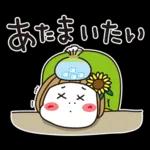 はな子✿夏真っ盛り日常。