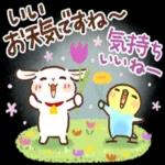 日常✨子ヤギさん＆インコちゃん_-