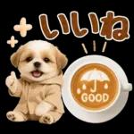 大人可愛いシーズーで梅雨の気づかい敬語