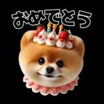 ずっと使える♡めちゃかわスイーツポメ