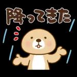 台風に注意してくだいさい