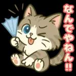 ゆるっと関西弁＊ええニャン＊