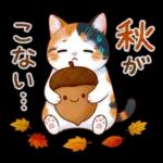三毛猫のつめあわせ【秋】