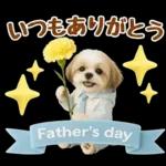 大人可愛いシーズーで梅雨の気づかい敬語