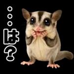フクロモモンガ❤実りの秋は大豊作