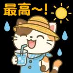 雨の多い夏に暮らす三毛猫の物語