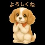 キャバリアのマシューくん