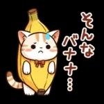 猫のつめあわせ④【ダジャレ】
