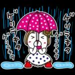 はな子✿夏真っ盛り日常。