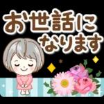 極太！シルバーボブのシニアガール花と応援