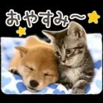 しばにゃんこスタンプ