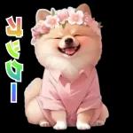 癒しポメラニアンの春のあいさつ 2