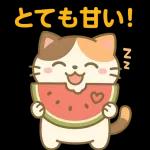 雨の多い夏に暮らす三毛猫の物語