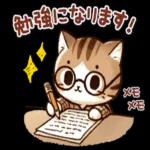 かわいい猫😺が来ますよ！