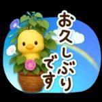 ずっと使える♡3D ひよこの夏