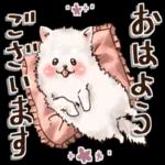 大人かわいい癒しカスタム【冬】