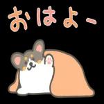 おはよう♪
ざいます