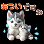 夏 猛暑 酷暑♡シベリアンハスキーとネコ