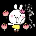 優しい2!!かわいい白うさぎ