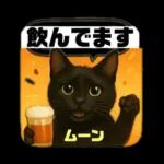 黒猫のムーンちゃん