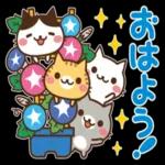 おはよう ございます!