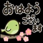 シンプルNo1_大人の敬語♡最新春のスタンプ