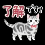 文字大きめ☆猫と動物たちのスタンプ