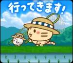 夏も飛び出す♪ ネコちゃん ハムちゃん