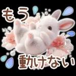 癒しうさぎのマリンスタイル☆*。