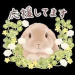 めっちゃ可愛い🫣🫣🫣