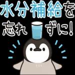 超人気スタンプ🔥🔥🔥   